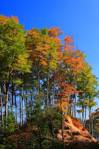 吉布提女篮坚韧不拔，为荣誉而战