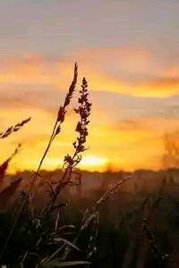 吉布提女篮坚韧不拔，为荣誉而战