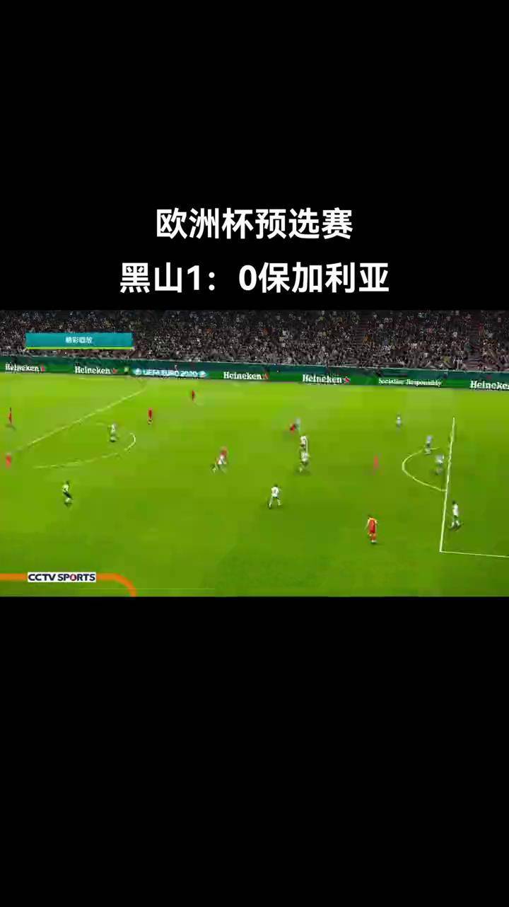 关于欧洲杯预选赛疯狂数天，球场一战成名谁与争锋的信息