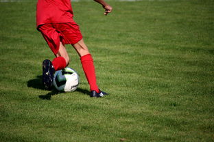 ac米兰中文官网-基层足球项目评估体系尚未建立  第2张